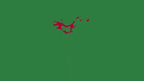 A green screen with white background and red dot on it animated chromakey Видео 335065753