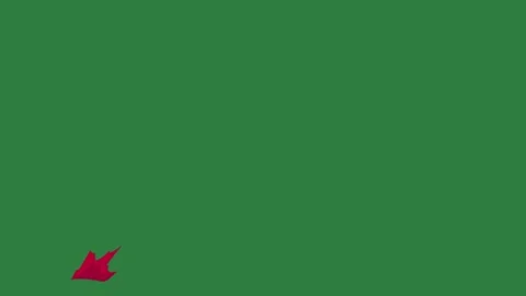 A green screen with white background and red arrow on it line animated Video stock 335065754