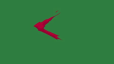 A green screen with white background and red arrow on it bird flying over star Video stock 335065758