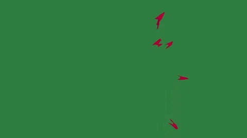 A green screen with white background and red arrow on it bird dots shark Video stock 335065762