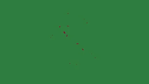 A green screen with white background and red splash on heart map it design Видео 335065774
