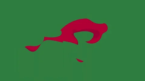 A green screen with white background and red flower on heart object it fish Video stock 335065785