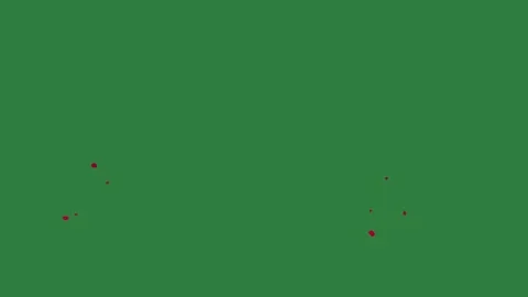 A green screen with white background and red swirl on it spots fish heart dots Stock Footage 335065795