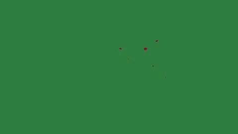 A green screen with white background and small red dot design on it bird Видео 335065874