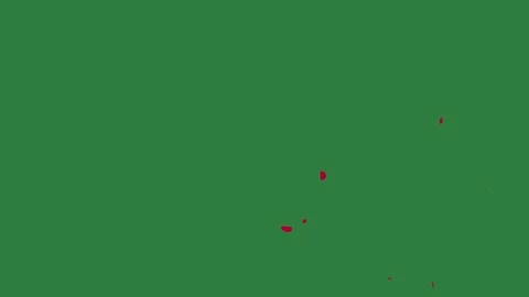 A green screen with white background and red flower on circle it dot object Vídeo Stock 335065898