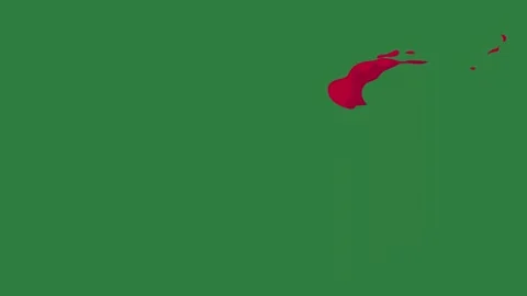 A green screen with white background and red flower on it dots dot heart Видео 335065938
