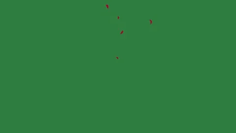 A green screen with white background and red horse on heart dot it flower Video stock 335065975