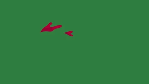 A green screen with white background and red paint on it clock bird flying Видео 335065985