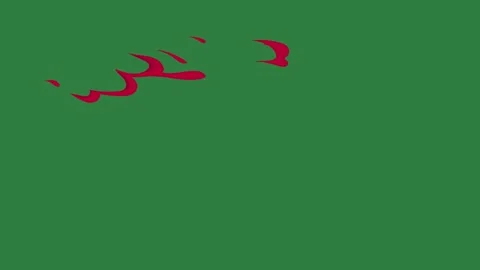 A green screen with white background and red hearts on it heart dots birds Video stock 335066028