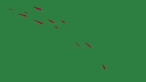 A green screen with white background and bird flying in the sky red arrow on Vídeo Stock 335066033