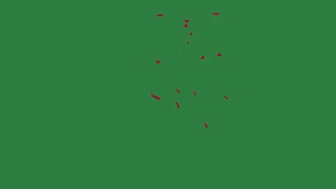 A green screen with white background and red dots on it cat black object Video stock 335066039