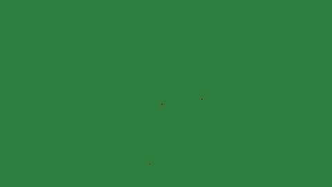 A green screen with white background and black dots on it red arrow dot Video stock 335066058