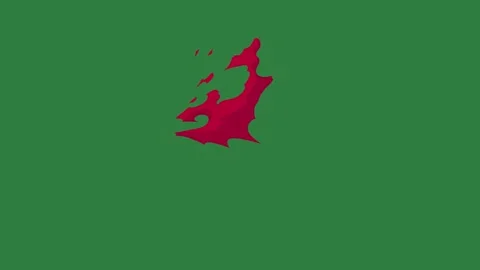 A green screen with white background and red dot on it cat bird is flying in Видео 335066060