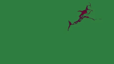 A green screen with white background and bird flying in the sky an image of Stock-Footage 335066118