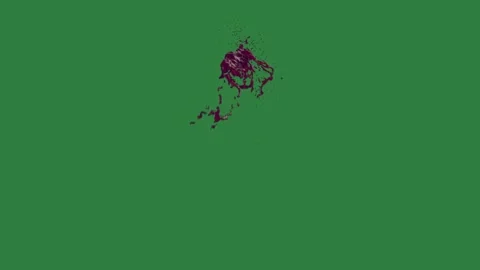 A green screen with white background and bird flying in the sky map of Video stock 335066135
