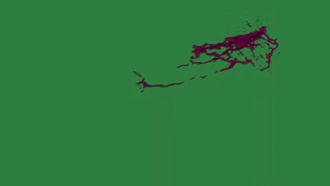 A green screen with white background and bird flying in the sky on map of Видео 335066146