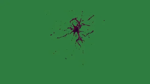 A green screen with white background and bug crawling on hole in the middle Stock Footage 335066157
