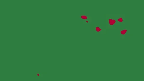A green screen with white background and red leaves map of the world dot on it Видео 335066543
