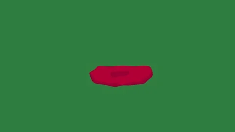 A green screen with white background and red flower on poppy animated Видео 335066743