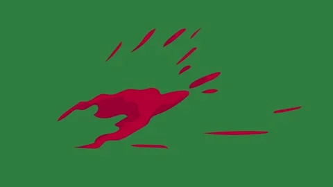 A green screen with white background and red circle on it bird is flying in Видео 335066765