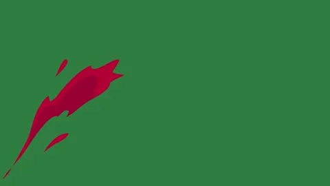 A green screen with white background and red bird on it arrow object heart Video stock 335066863