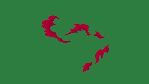 A green screen with white background and map of the country red bird on it dot Видео 335066865