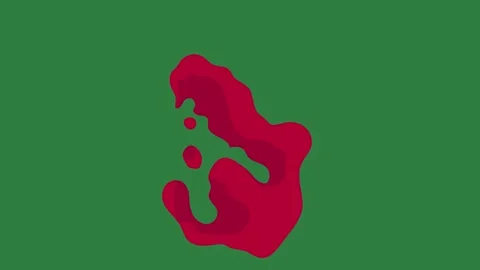 A green screen with white background and red dot on it heart spots cat dots Vídeos de archivo 335066963