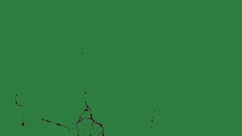 A green screen with white background and tree in the middle black flower on it Video stock 335067136