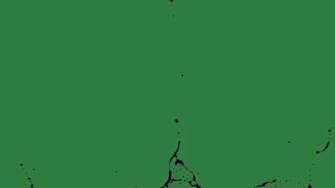 A green screen with white background and black logo on it flower an image of Видео 335067164