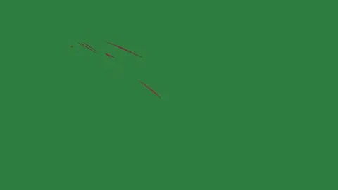 A green screen with white background and red bird flying through arrow on it Video stock 335067339