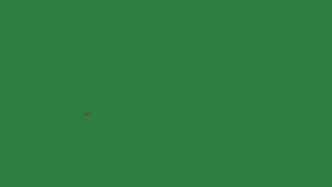 A green screen with white background and clock on red arrow it map dots Video stock 335067365