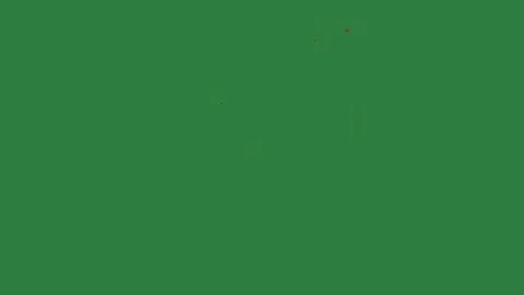 A green screen with white background and bird flying in the sky red line on it Vidéo 335067375