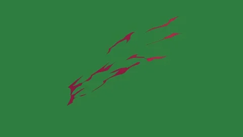 A green screen with white background and some birds flying around it this is Vidéo 335067403