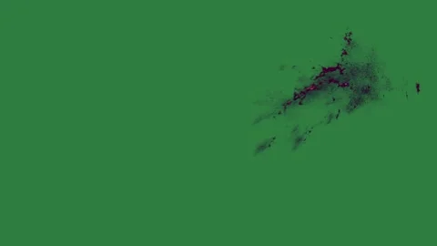 A green screen with white background and spider on black bird flying in the Видео 335067416