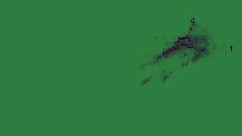 A green screen with white background and spider on black bird flying in the Видео 335067455