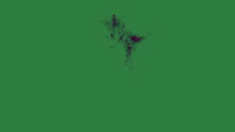 A green screen with white background and spider on black spot it bird flying Видео 335067492