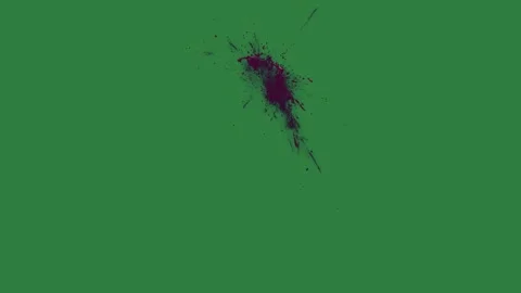 A green screen with white background and beetle on piece of paper it bird Vidéo 335067502