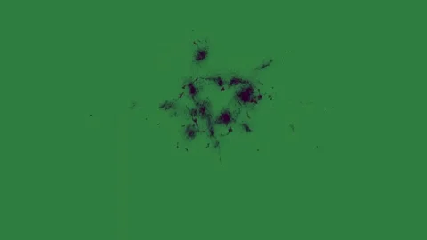 A green screen with white background and spider on some black spots it small Видео 335067536