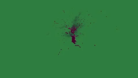A green screen with white background and spider crawling on red spot it bug Stock Footage 335067541