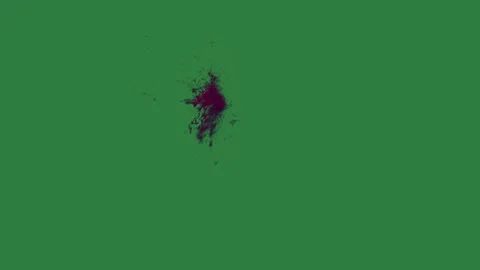 A green screen with white background and bug on red stain it small bird an Video stock 335067562