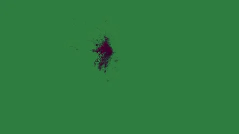 A green screen with white background and bug on red spot it small bird black Vídeos de archivo 335067565