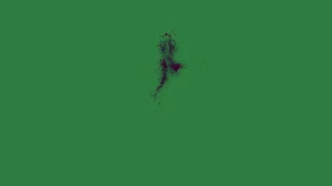 A green screen with white background and bird flying in the sky on hole middle Видео 335067585