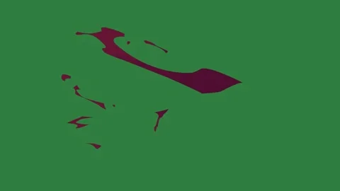 A green screen with white background and red object in the middle bird flying Vídeo Stock 335067588