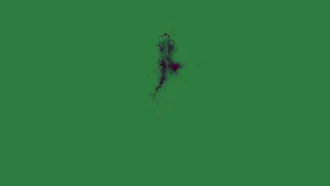 A green screen with white background and bird flying in the sky on hole middle Видео 335067591