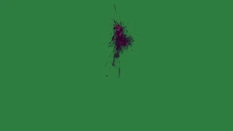 A green screen with white background and small insect on it black bird flying Видео 335067594