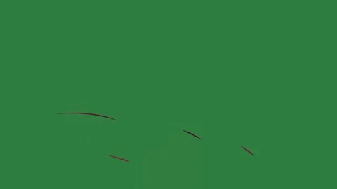 A green screen with white background and birds flying in the sky bird bunch of Video stock 335067636