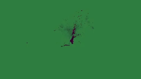 A green screen with white background and bug on black spot it an image of tree Video stock 335067671