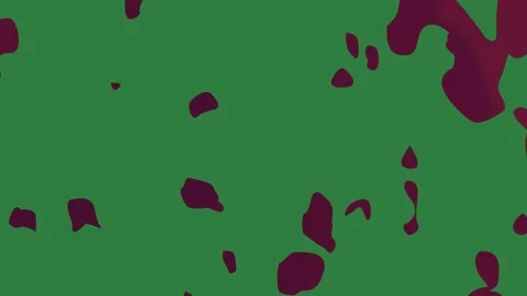 A green screen with white background and red dot on it heart hearts spots Video stock 335067693