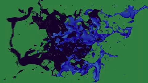A green screen with white background and black blue dog on bunch of flowers Video stock 335067801