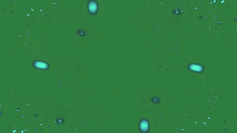 A green screen with white background and blue flower on explosion lots of Vídeo Stock 335068199